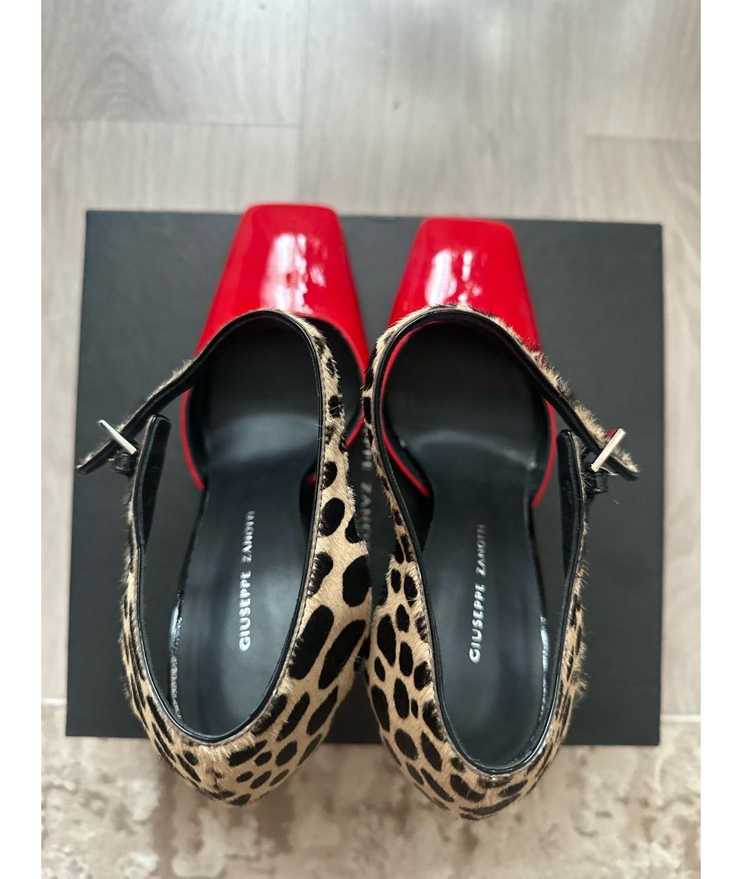 GIUSEPPE ZANOTTI DESIGN Кожаные туфли, фото 3