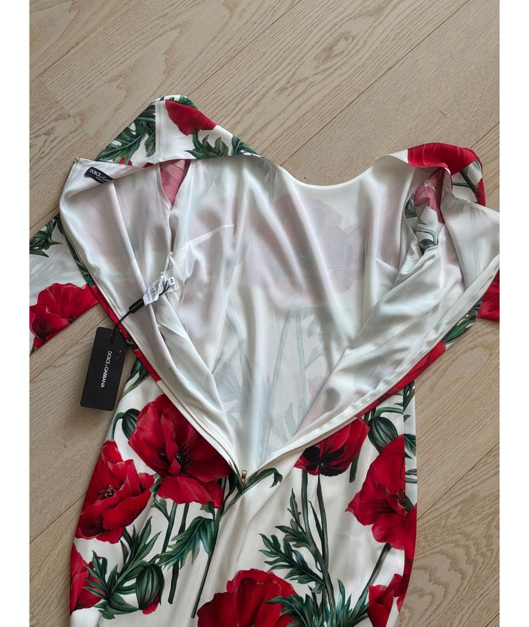 DOLCE&GABBANA Мульти хлопко-эластановое повседневное платье, фото 8