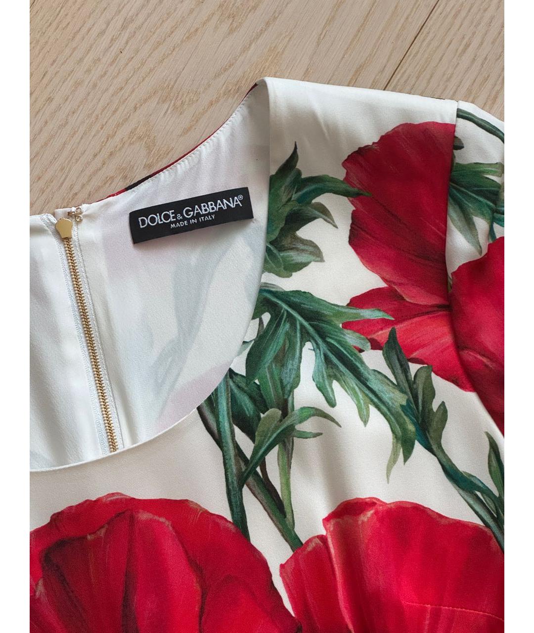 DOLCE&GABBANA Мульти хлопко-эластановое повседневное платье, фото 4