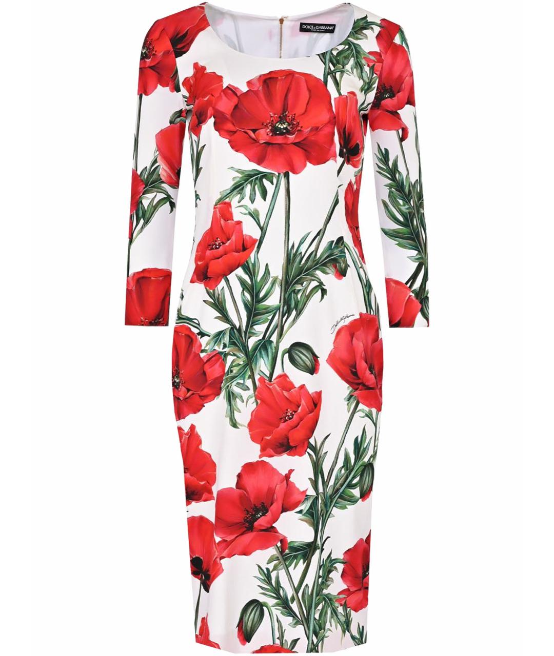 DOLCE&GABBANA Мульти хлопко-эластановое повседневное платье, фото 1