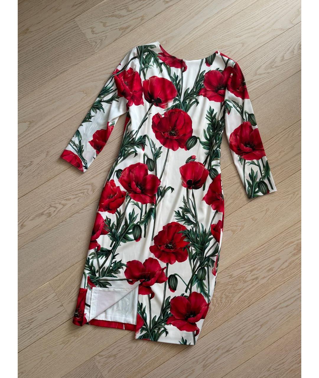 DOLCE&GABBANA Мульти хлопко-эластановое повседневное платье, фото 3
