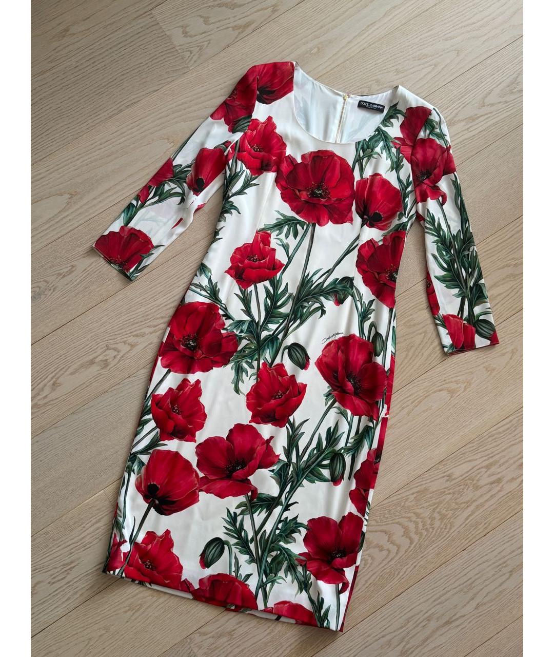 DOLCE&GABBANA Мульти хлопко-эластановое повседневное платье, фото 2
