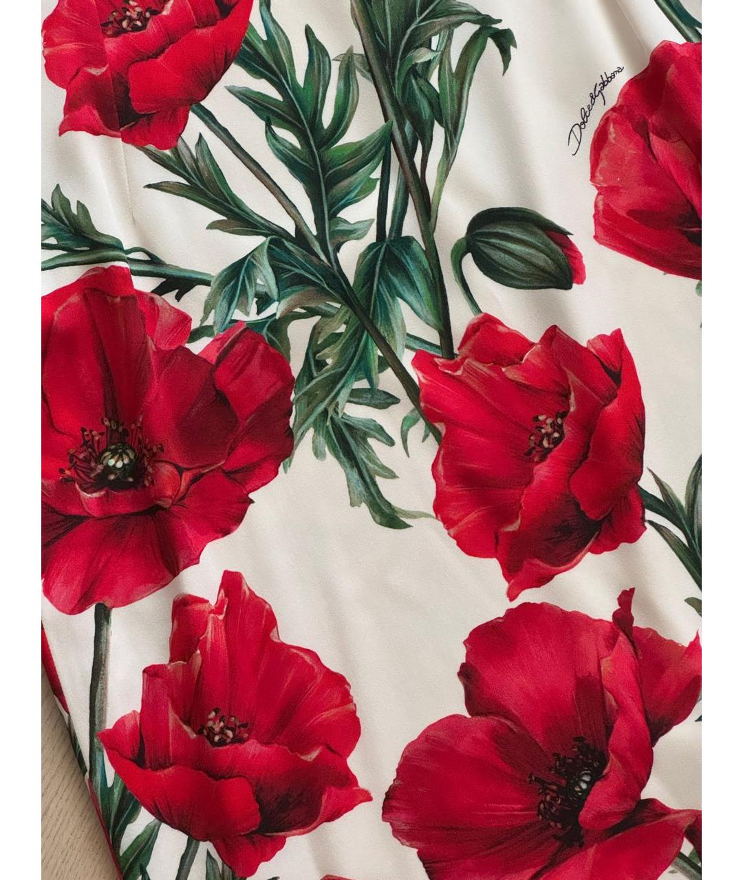 DOLCE&GABBANA Мульти хлопко-эластановое повседневное платье, фото 5