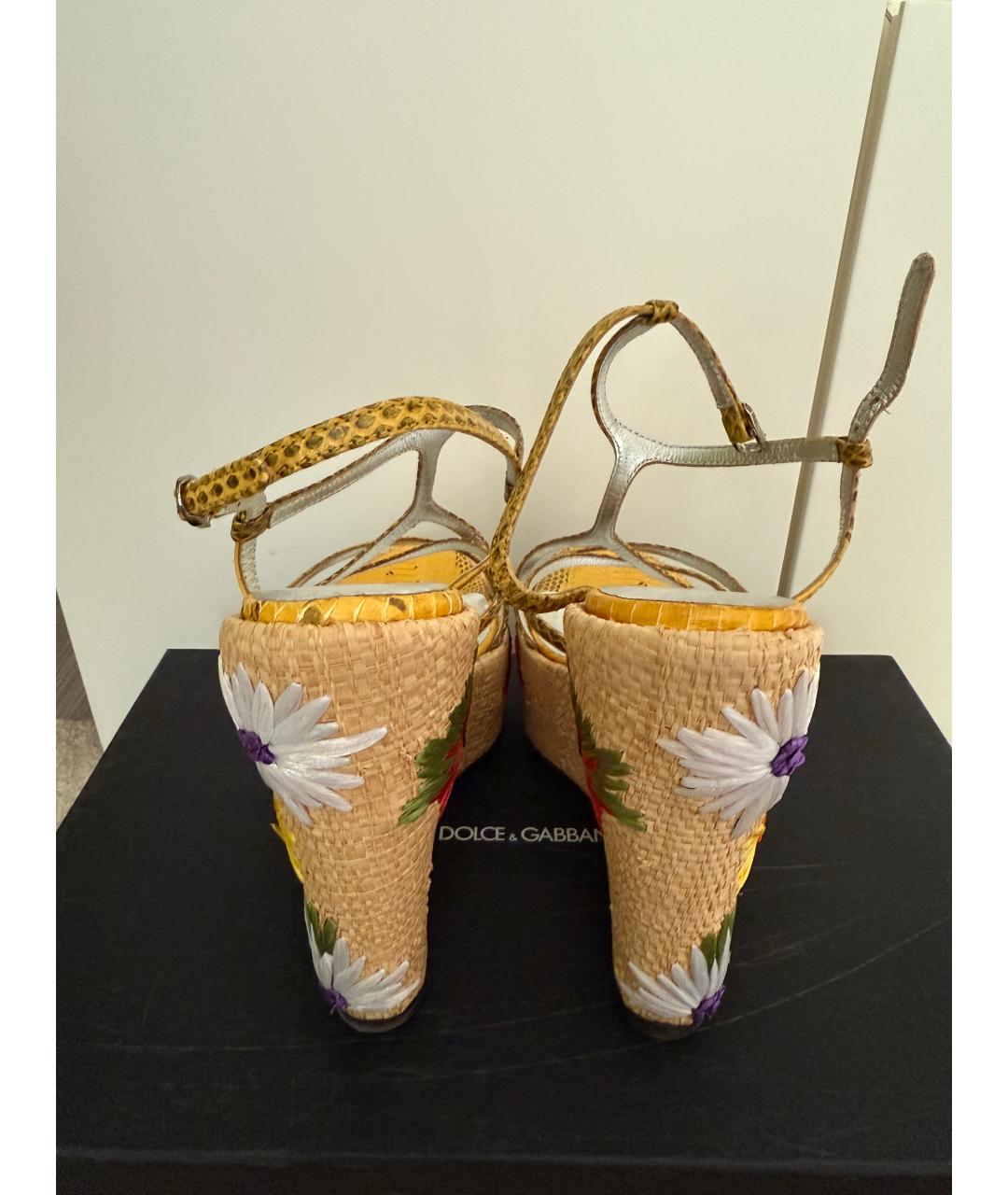 DOLCE&GABBANA Мульти босоножки, фото 4