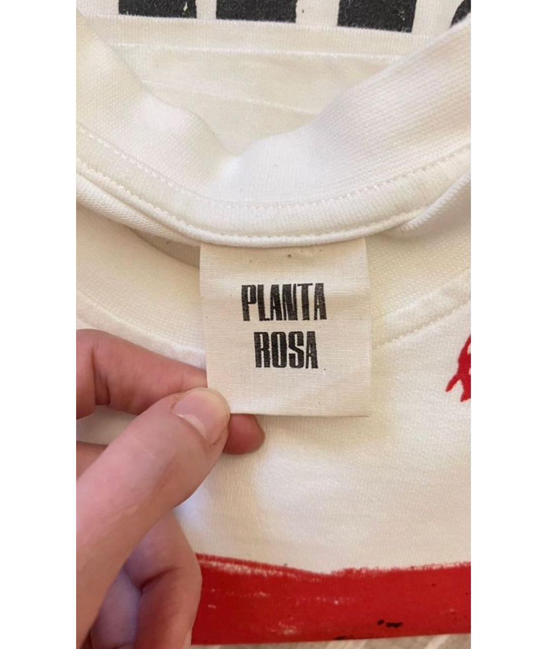 PLANTA ROSA Хлопковая футболка, фото 3