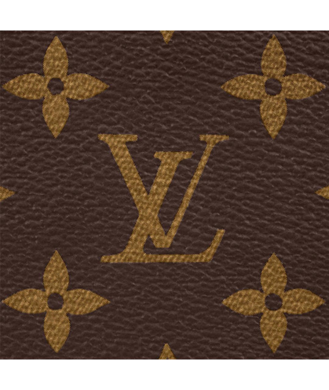 LOUIS VUITTON Коричневая поясная сумка, фото 5