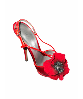 

Туфли CASADEI
