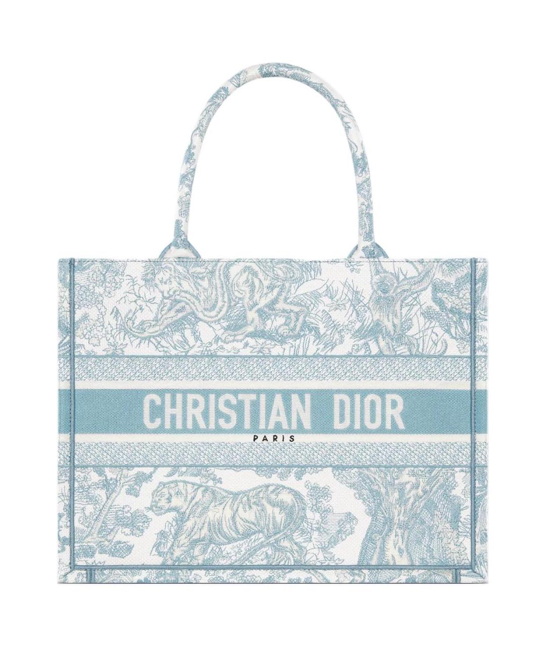 CHRISTIAN DIOR Голубая сумка тоут, фото 1