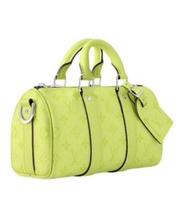 LOUIS VUITTON Дорожная и спортивная сумка