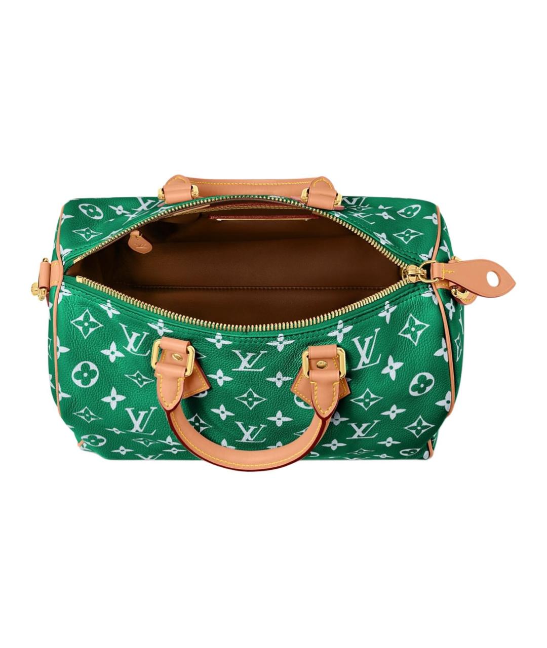 LOUIS VUITTON Зеленая сумка через плечо, фото 4