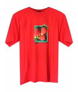 STUSSY Футболка