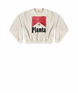 PLANTA ROSA Худи/толстовка