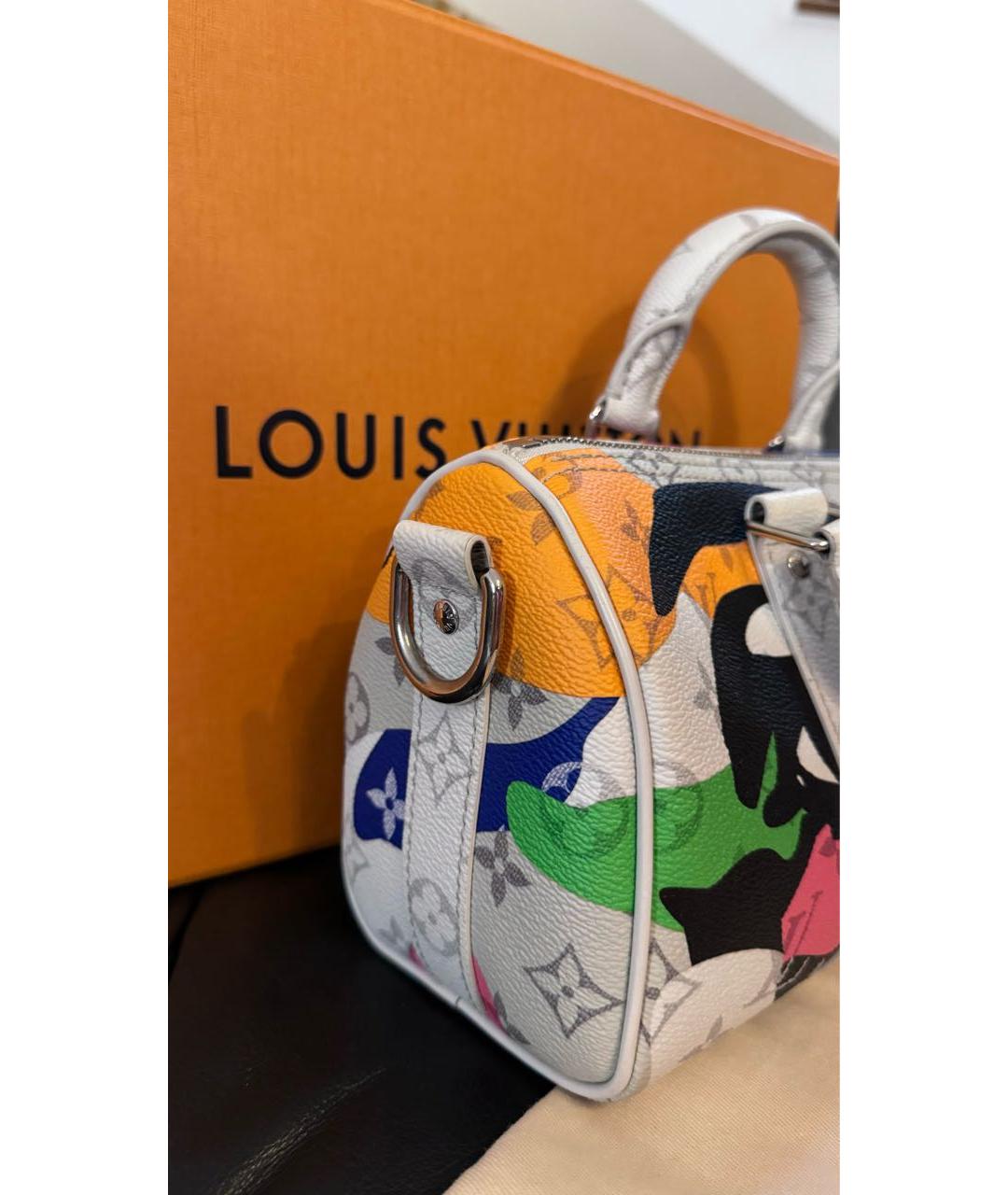 LOUIS VUITTON Мульти кожаная сумка через плечо, фото 2