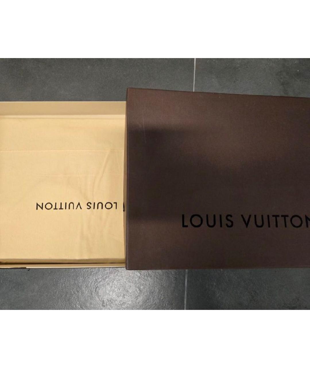 LOUIS VUITTON Коричневая сумка тоут, фото 5