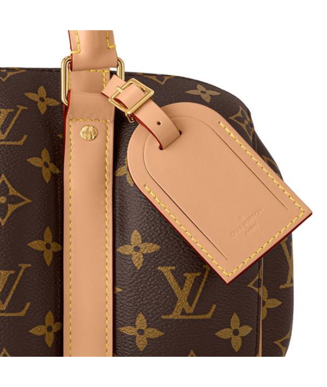 LOUIS VUITTON Кожаная сумка на плечо, фото 5