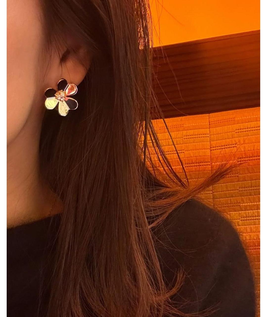 VAN CLEEF & ARPELS Золотые серьги из желтого золота, фото 4