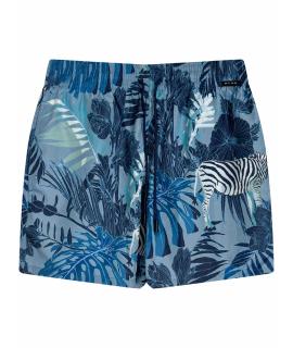 ETRO Шорты