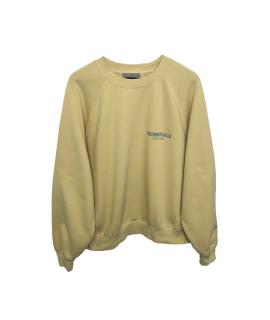 FEAR OF GOD ESSENTIALS Худи/толстовка