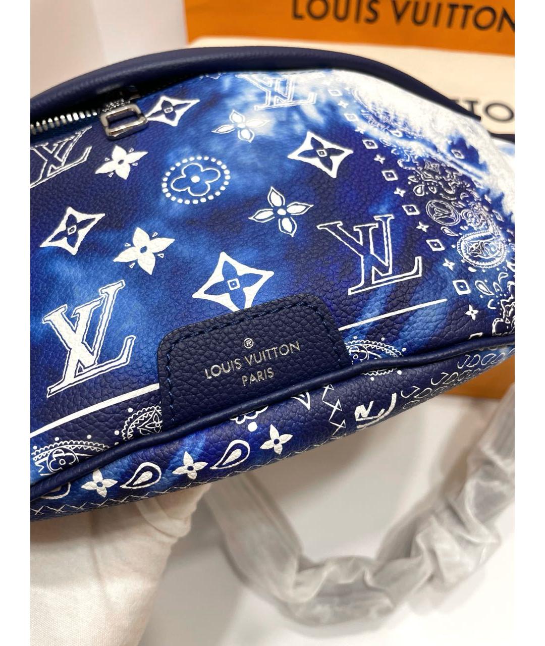 LOUIS VUITTON Кожаная поясная сумка, фото 5