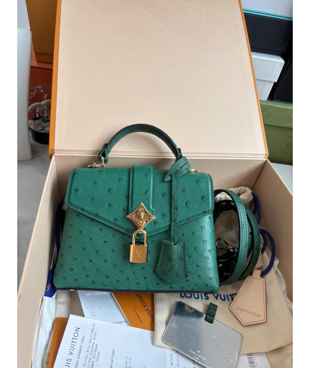 LOUIS VUITTON Зеленая кожаная сумка тоут, фото 10