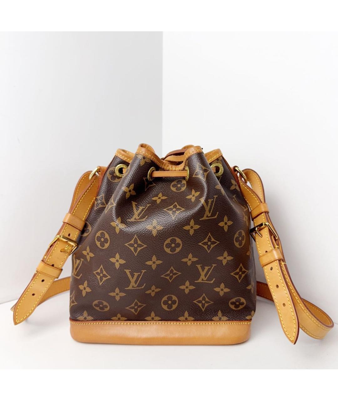 LOUIS VUITTON Коричневая кожаная сумка тоут, фото 2