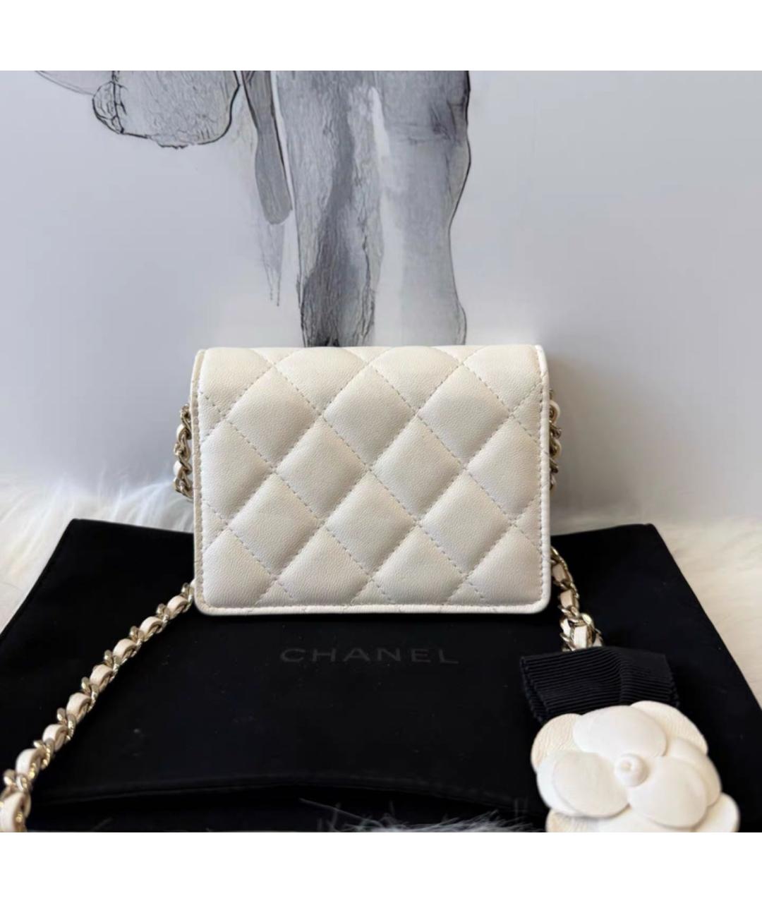 CHANEL Бежевая кожаная сумка через плечо, фото 2