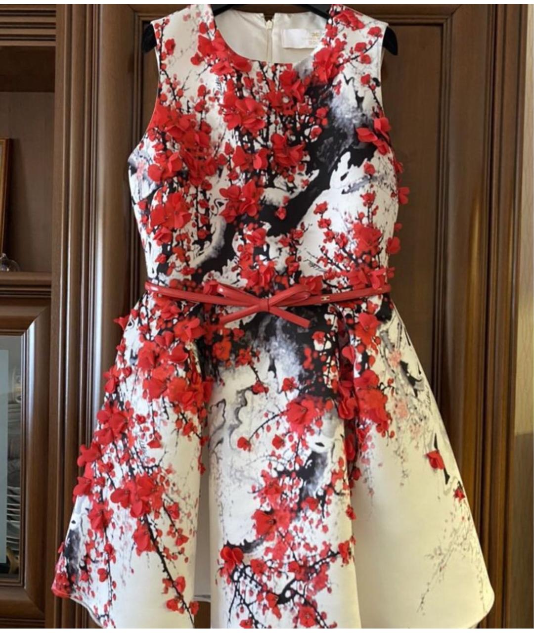 ELISABETTA FRANCHI Мульти полиэстеровое коктейльное платье, фото 2