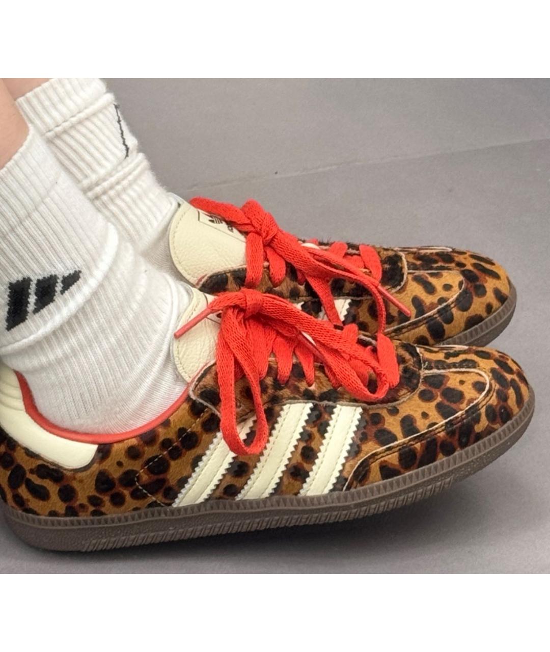 ADIDAS Коричневые кеды, фото 6