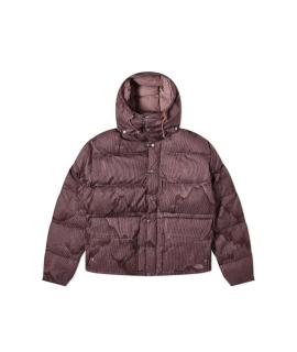 THE NORTH FACE Пуховик