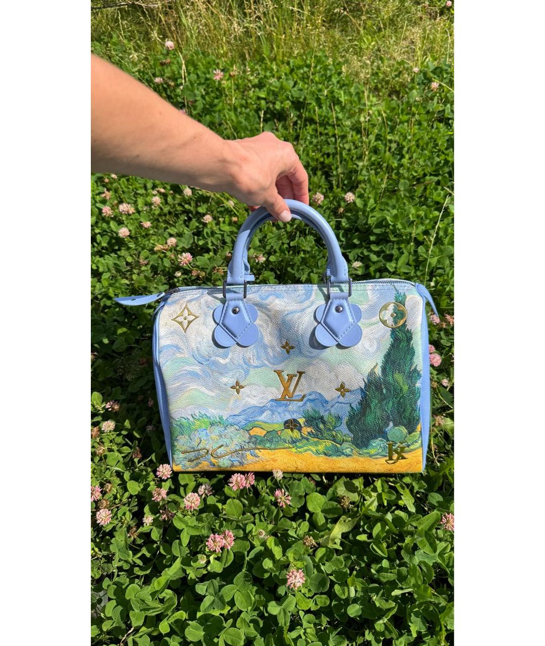 LOUIS VUITTON Мульти кожаная сумка тоут, фото 7