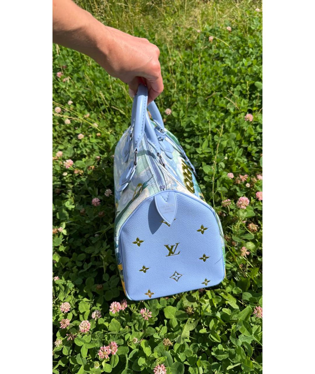 LOUIS VUITTON Мульти кожаная сумка тоут, фото 3