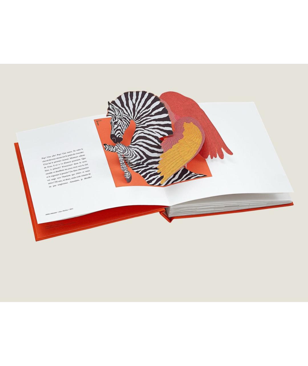 HERMES Книга, фото 2