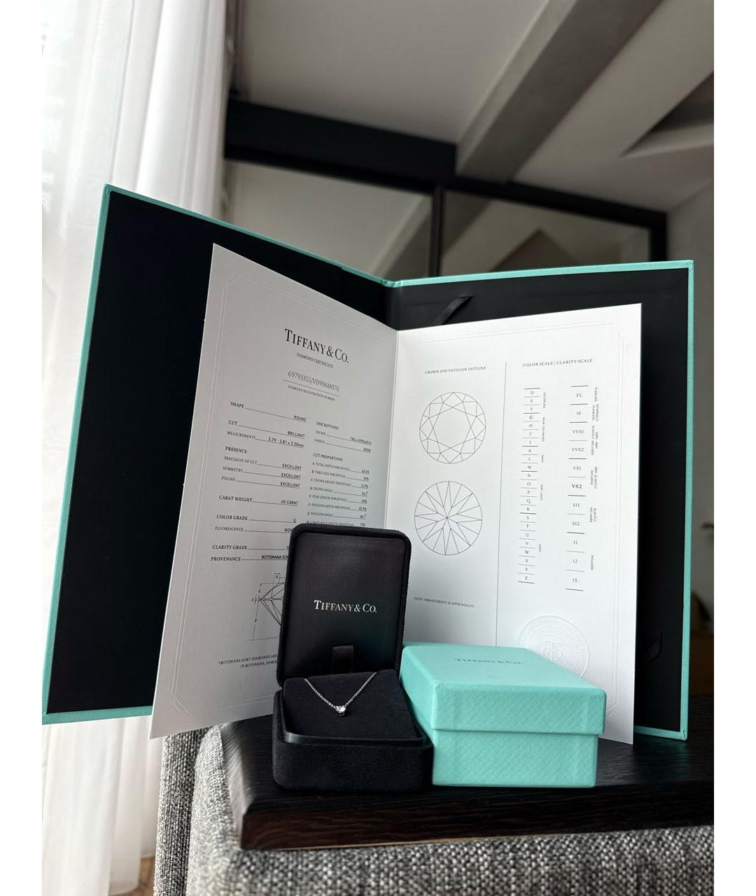 TIFFANY&CO Белое платиновое колье, фото 2