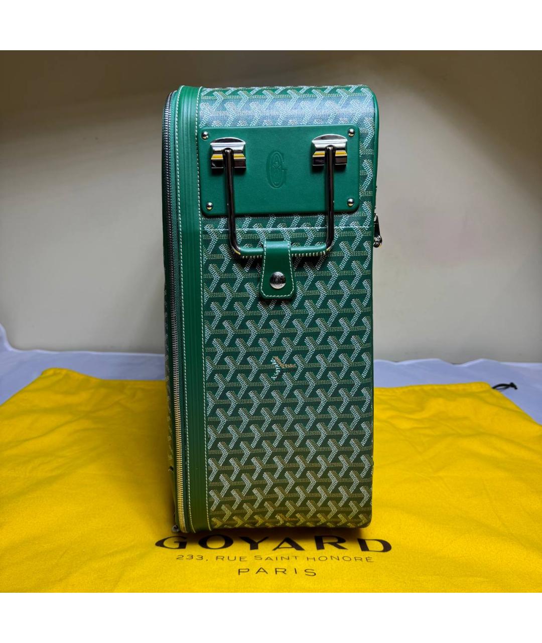 GOYARD Зеленый кожаный чемодан, фото 3