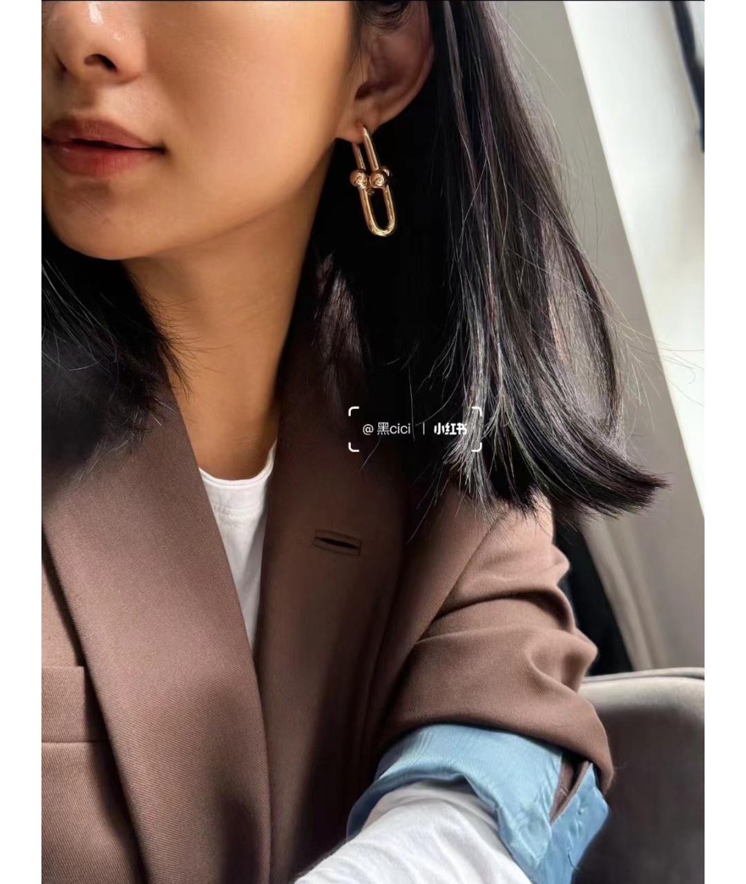 TIFFANY&CO Золотые серьги из желтого золота, фото 4