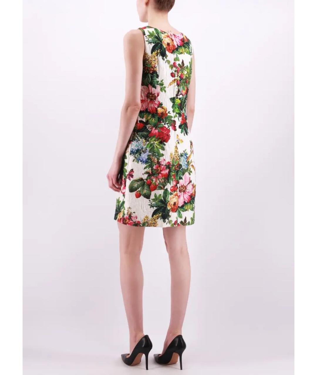 DOLCE&GABBANA Мульти хлопковое повседневное платье, фото 2