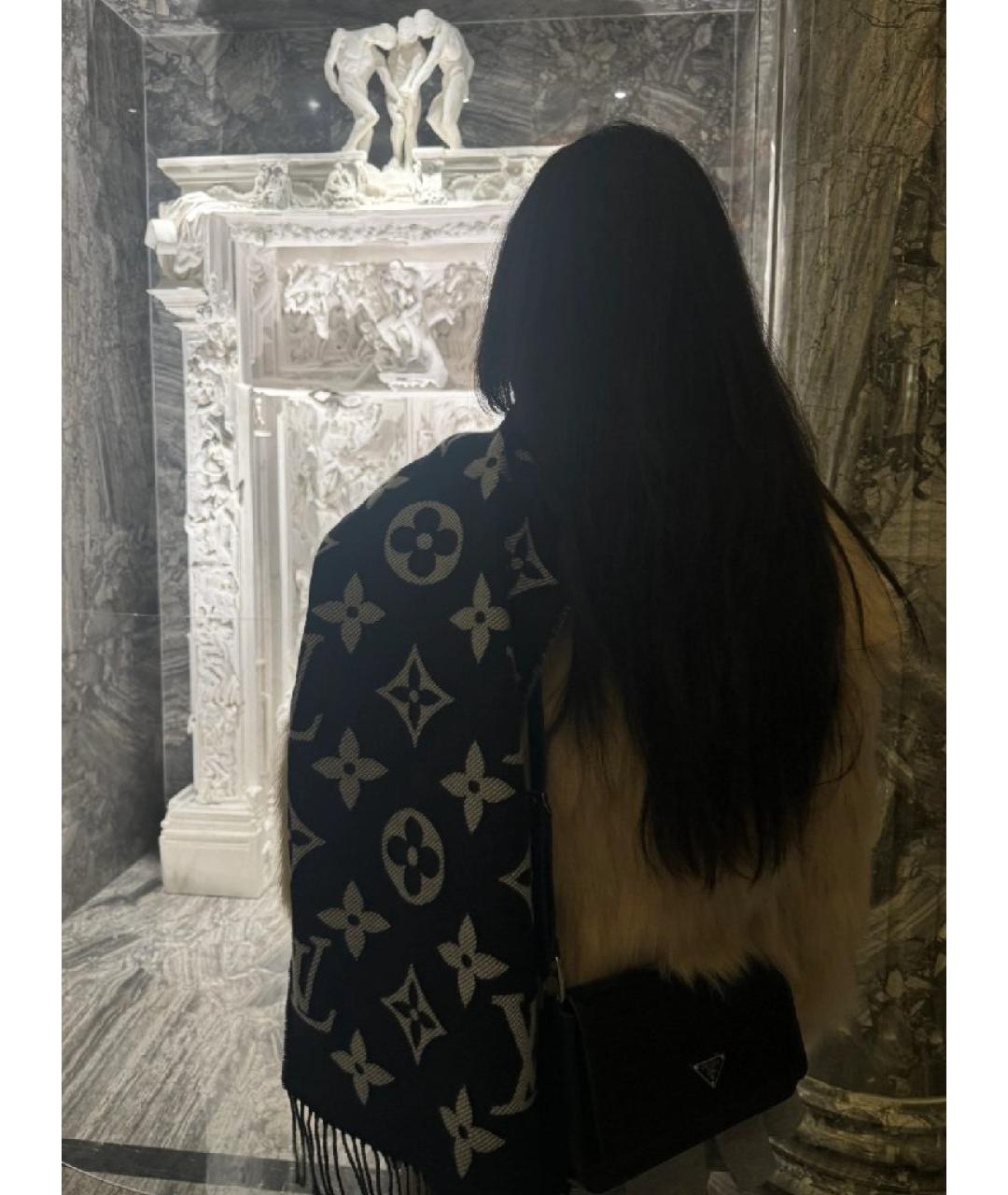 LOUIS VUITTON Кашемировый шарф, фото 6