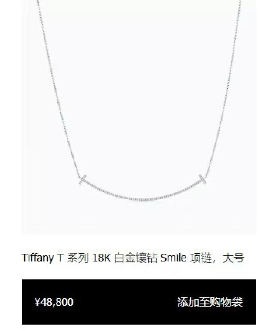 TIFFANY&CO Серебряное колье из белого золота, фото 4