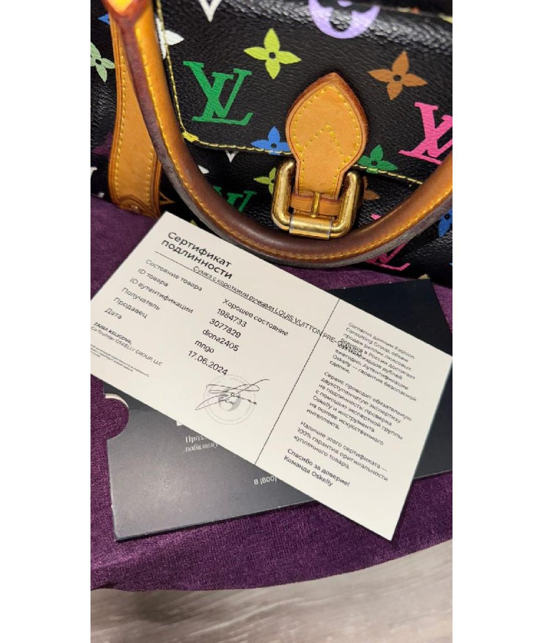 LOUIS VUITTON Мульти кожаная сумка с короткими ручками, фото 7