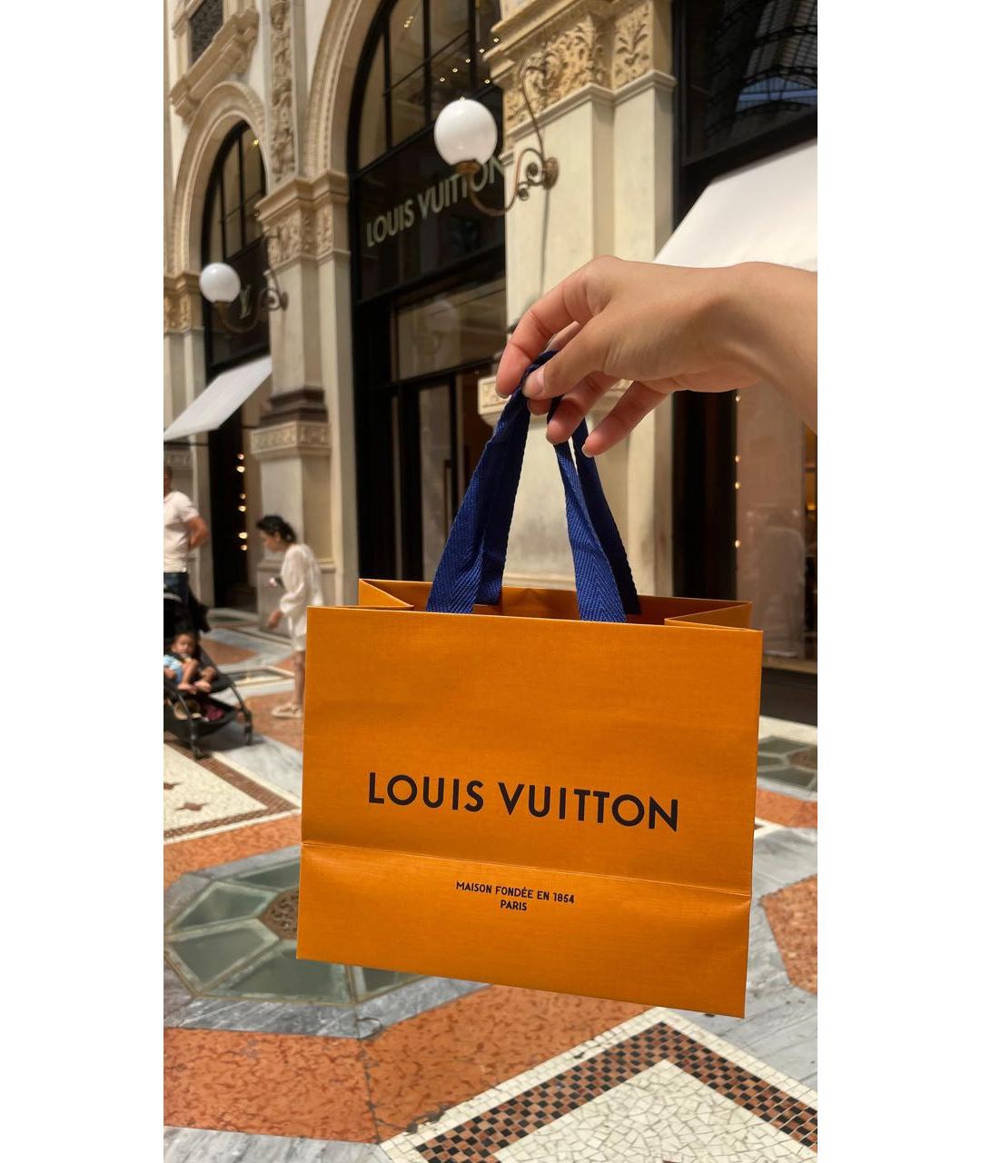 LOUIS VUITTON Коричневый браслет, фото 5