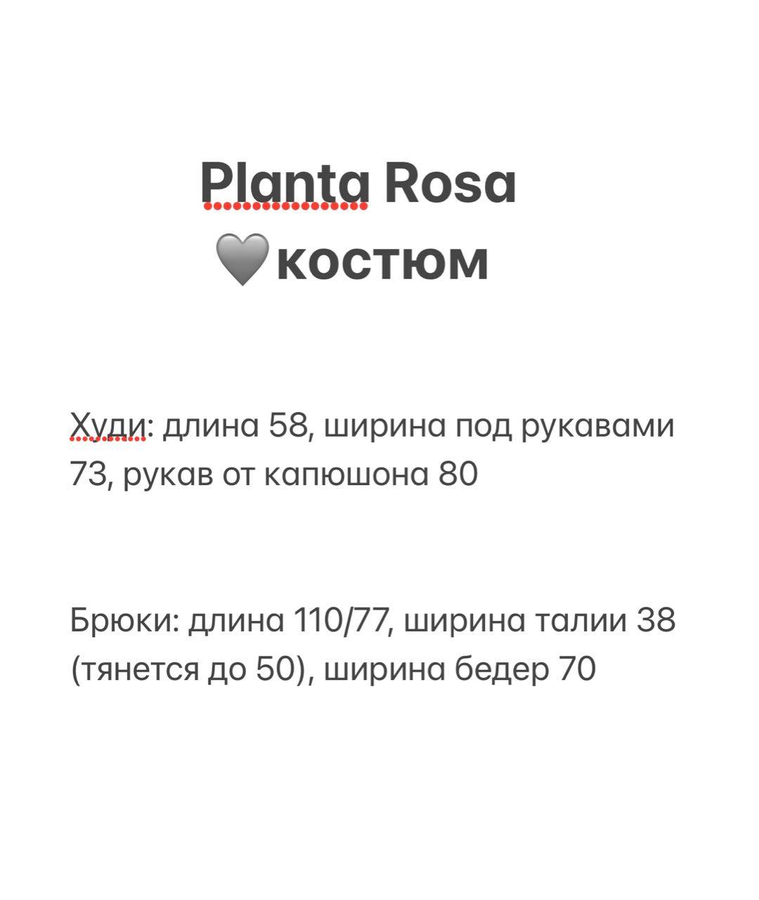 PLANTA ROSA Серый хлопковый костюм с брюками, фото 8