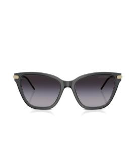 EMPORIO ARMANI Солнцезащитные очки