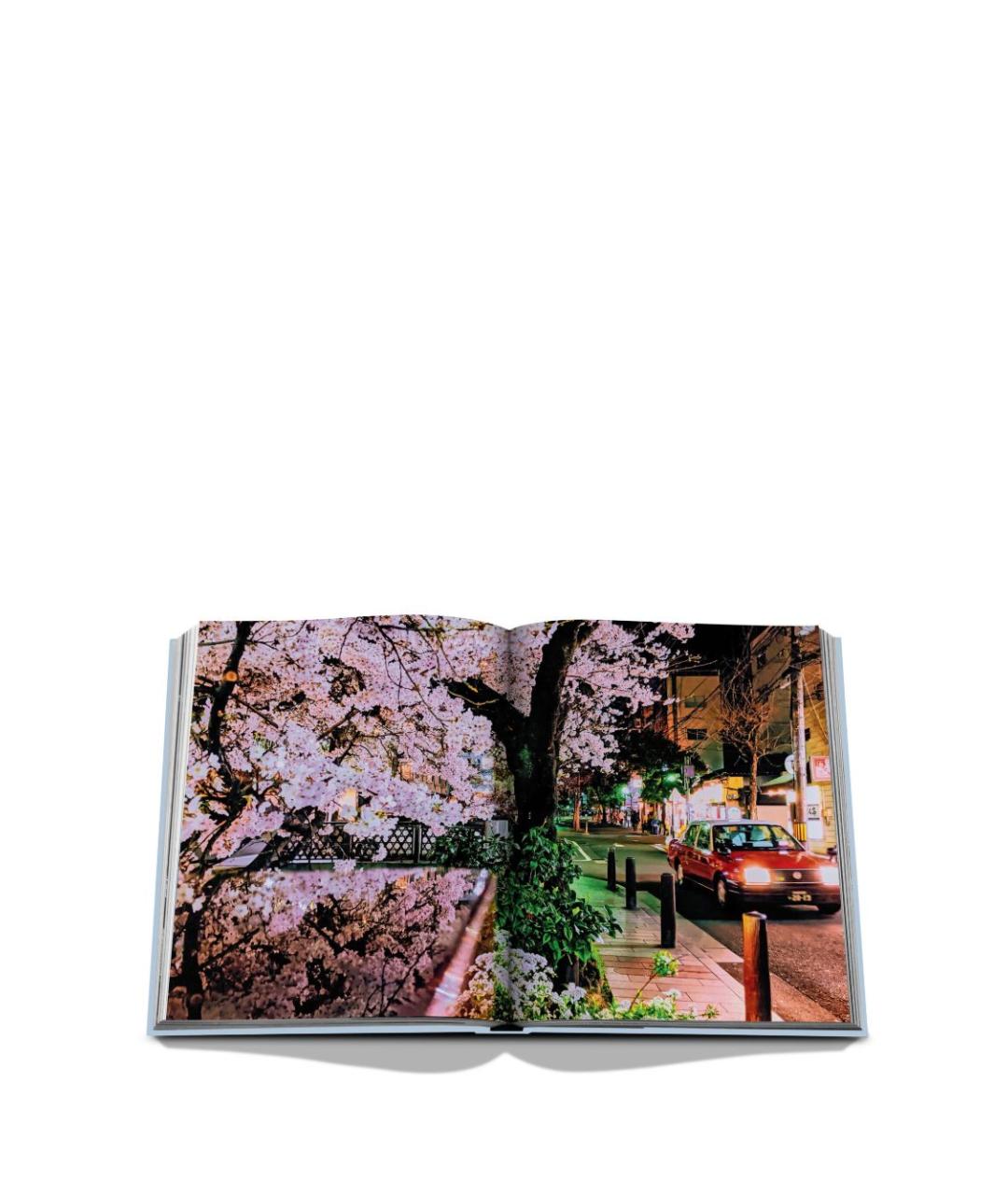 ASSOULINE Книга, фото 2