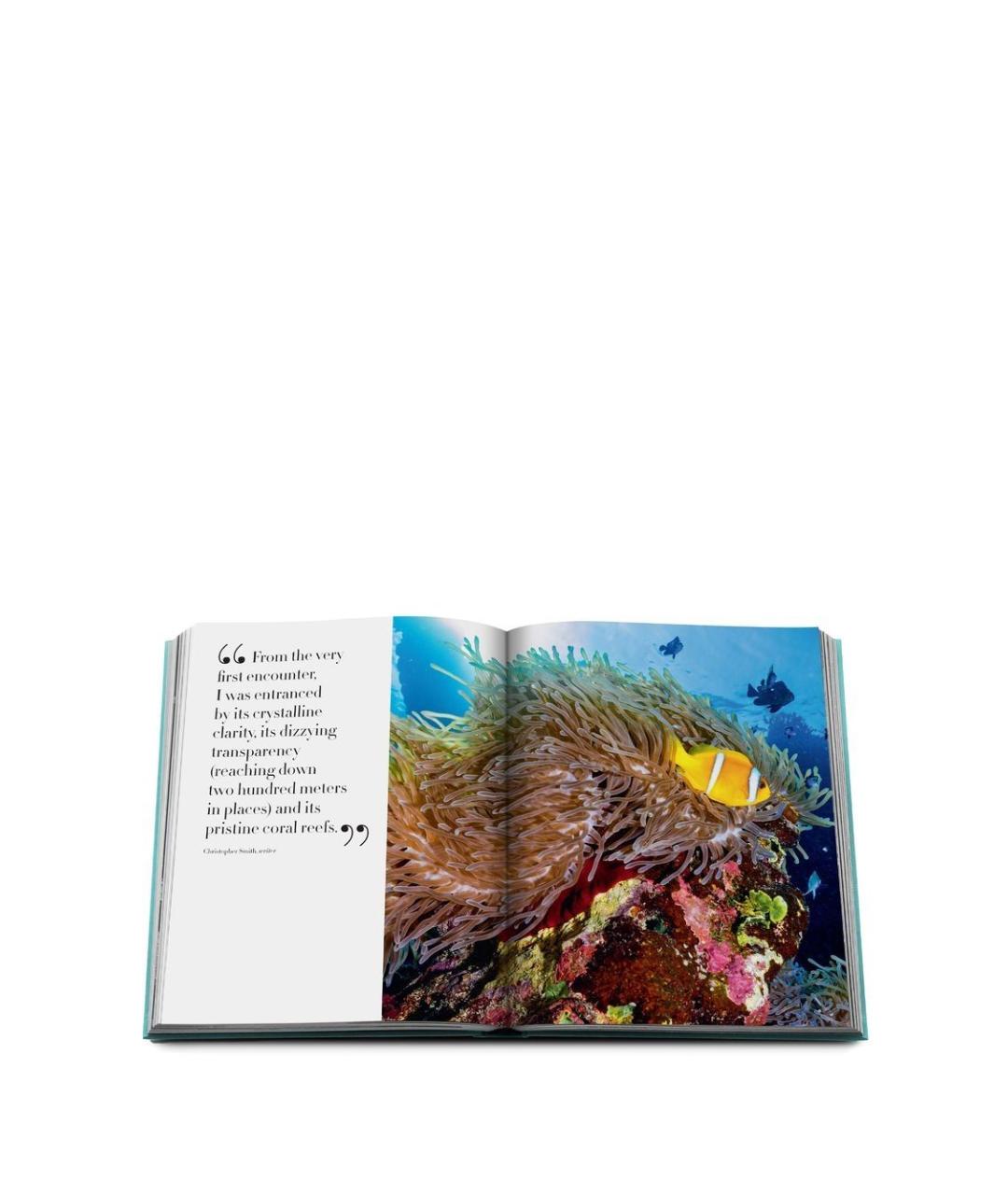 ASSOULINE Книга, фото 3