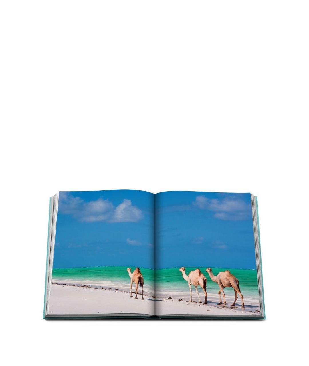ASSOULINE Книга, фото 4