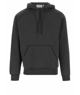 CARHARTT WIP Худи/толстовка
