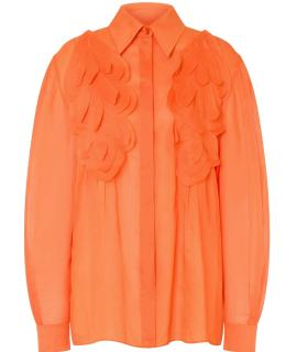 ALBERTA FERRETTI Блузы