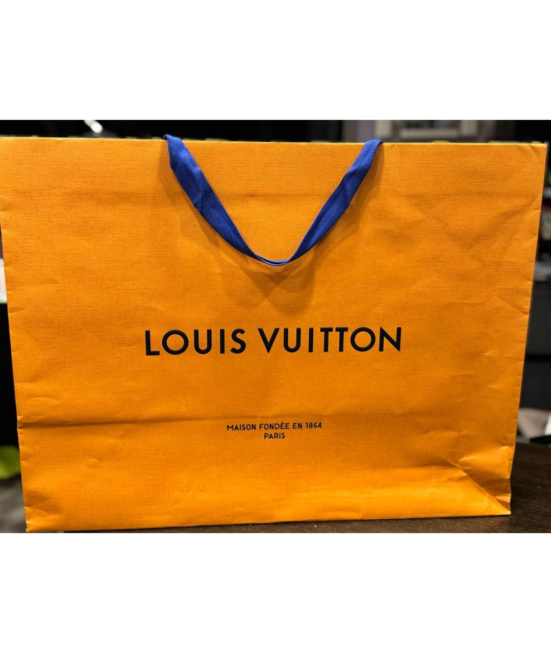 LOUIS VUITTON Серый рюкзак, фото 8