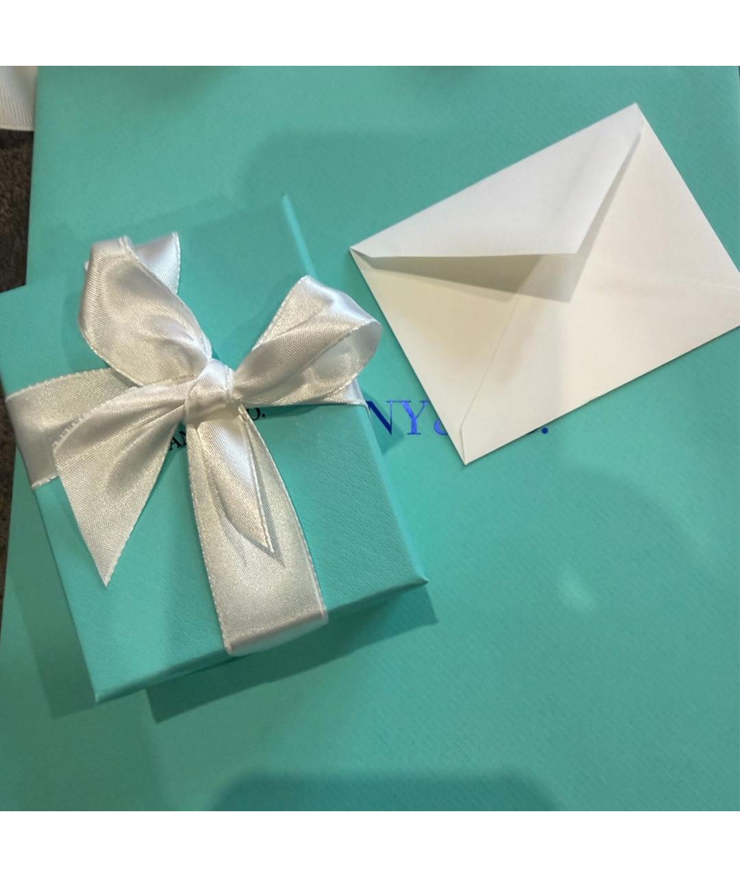 TIFFANY&CO Серебряные серебряные серьги, фото 3