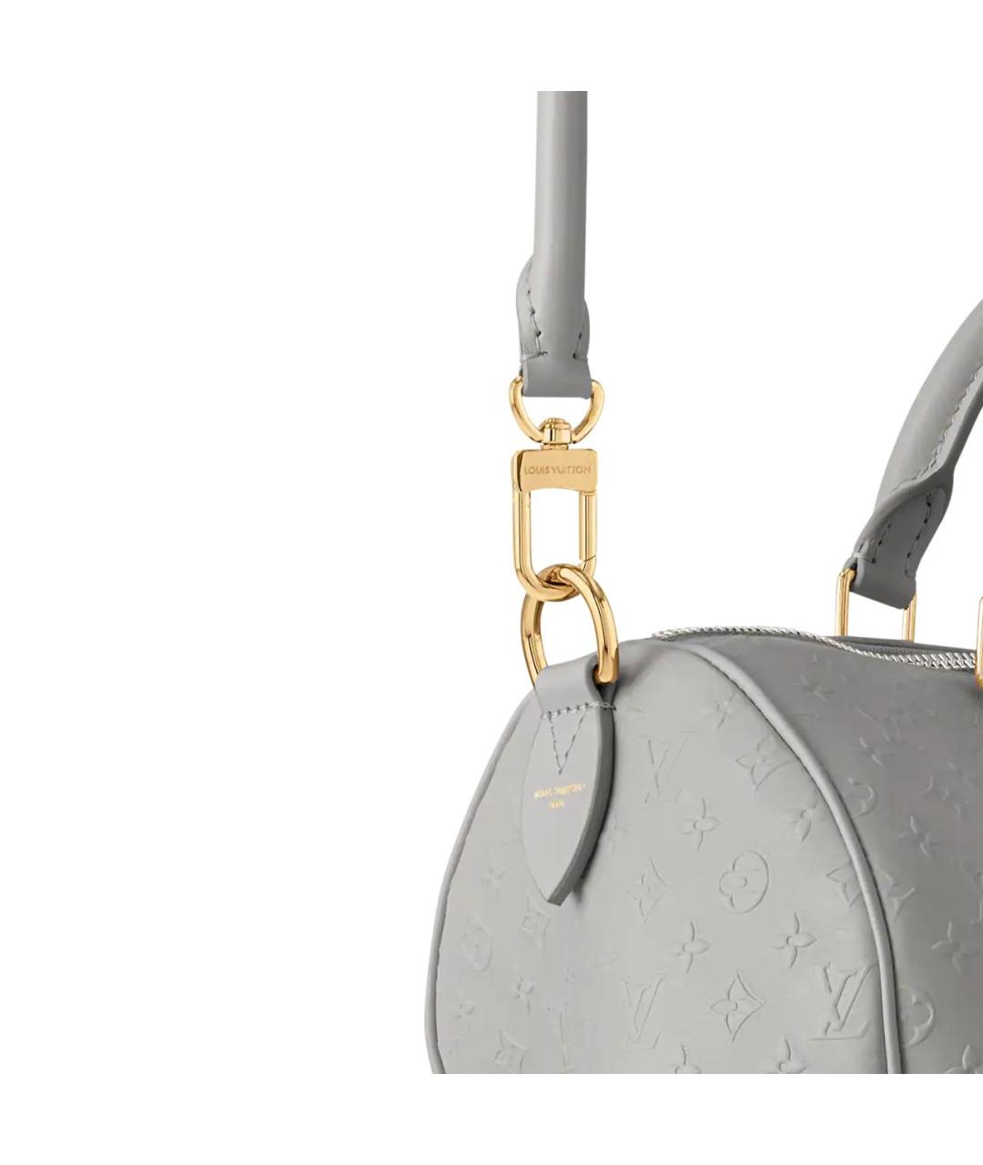 LOUIS VUITTON Серая кожаная дорожная/спортивная сумка, фото 2